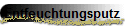 Entfeuchtungsputz